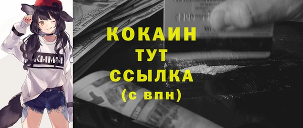 мдпв Новозыбков