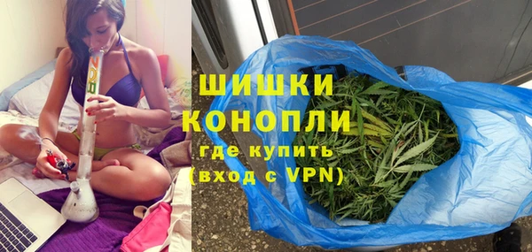 Альфа ПВП Аркадак