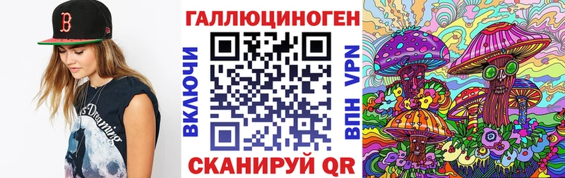 что такое   Петровск  Псилоцибиновые грибы GOLDEN TEACHER 